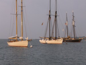 Vineyard Sailboats