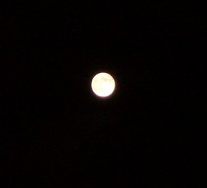 moon