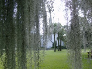 Epworth church moss