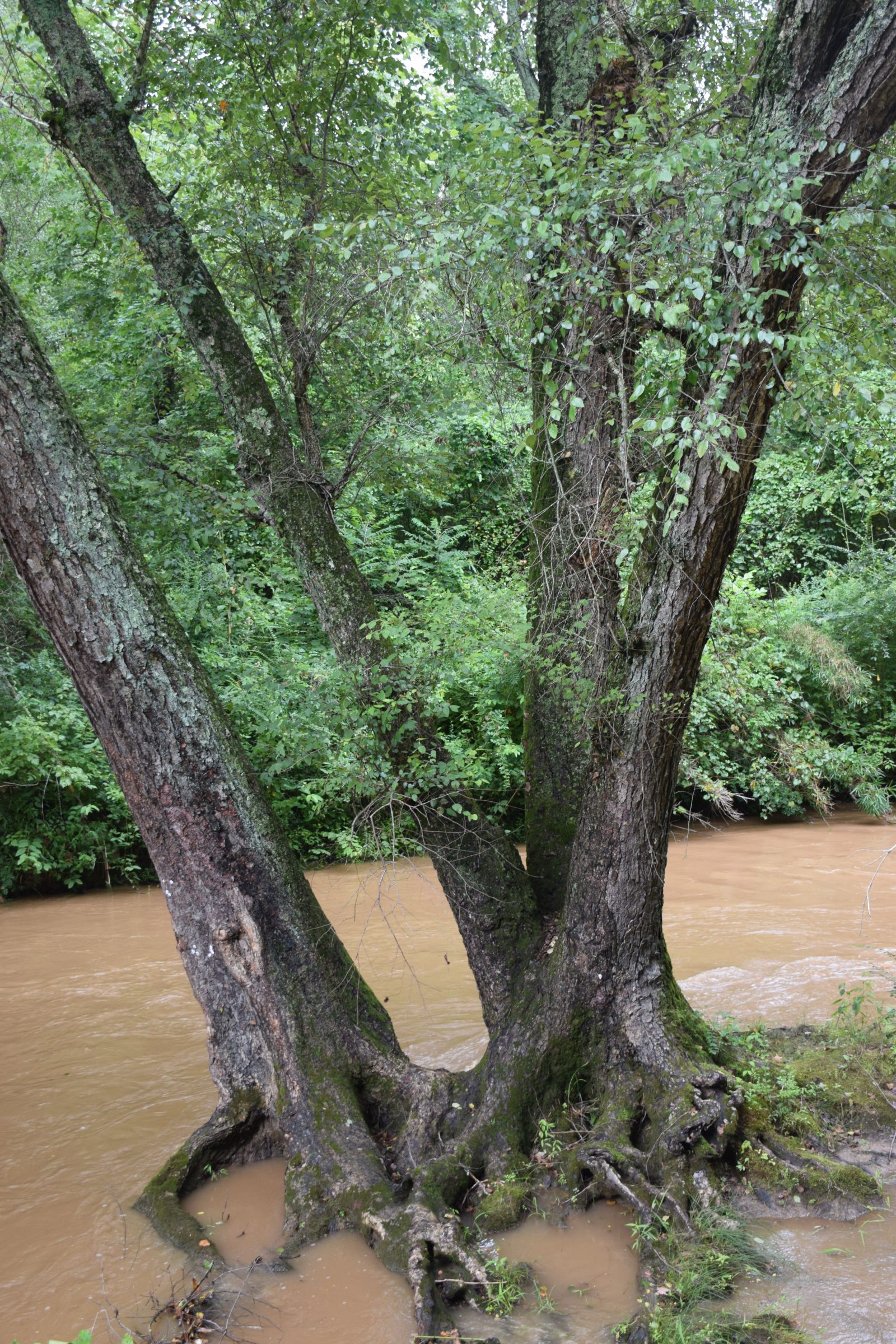 When Eyes Do Not See