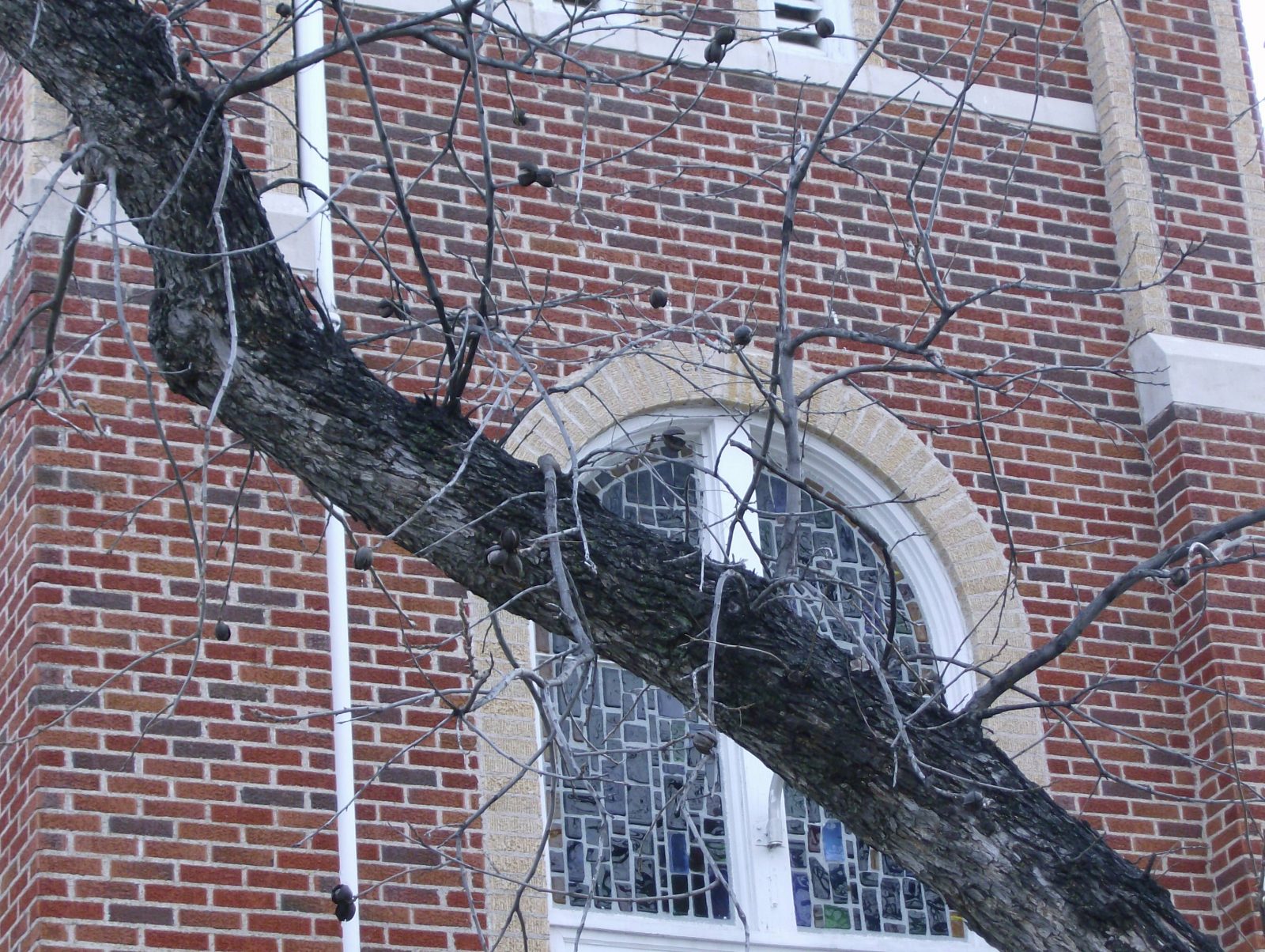 Irritations To Beauty