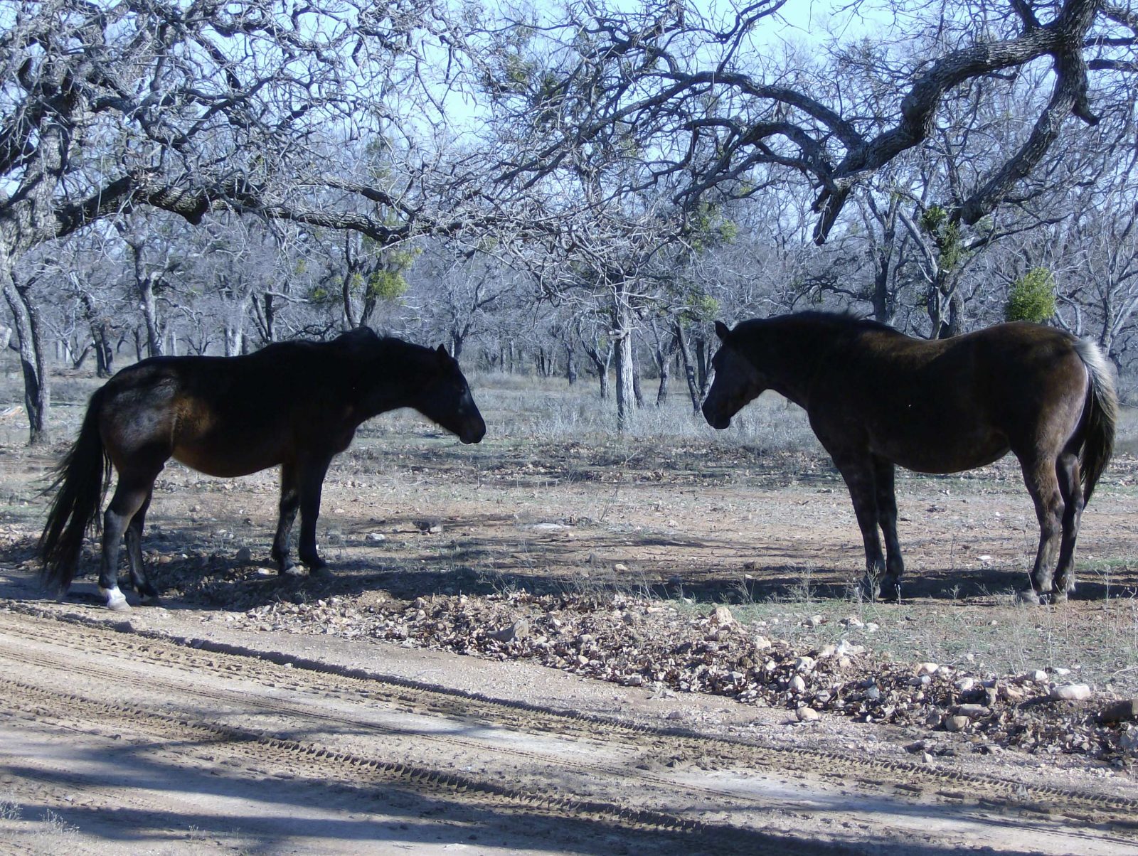 Some Of Prayer’s Obstacles
