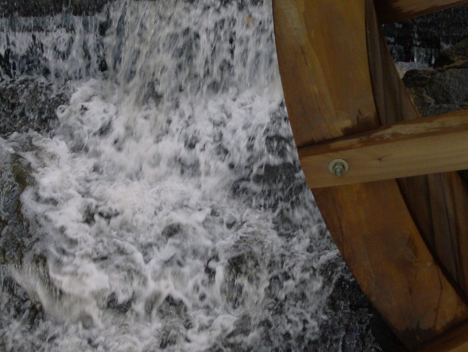 A Gratitude Attitude