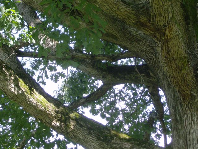 Through Christ The Right Words Are Possible